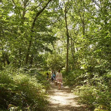 Face Pour 4 A Brevin L'ocean