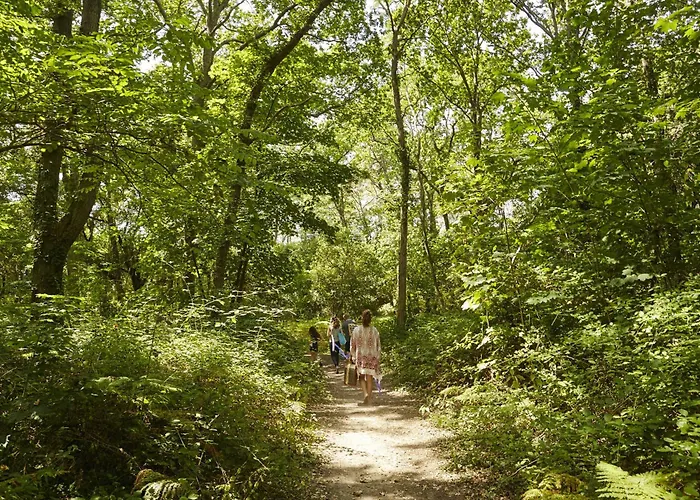 Face Pour 4 A Brevin L'ocean